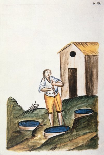 Niebieska taca do farbowania wełny, z książki „Trujillo of Peru” lub „Codex Martinez Companion”, autorstwa Baltazara Martineza Companion i Bujanda, biskupa Trujillo (1782-1785) autorstwa Unknown artist