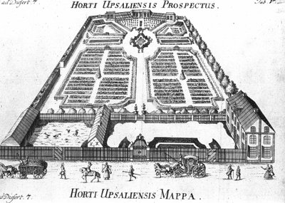 Ogród Botaniczny - perspektywa i plan HORTI UPSALIENSIS. autorstwa Unknown artist