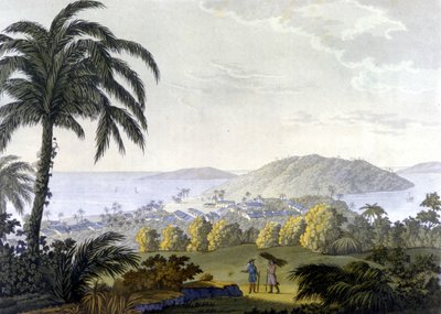 Brazylia, widok miasta Ilheus w stanie Bahia autorstwa Unknown artist