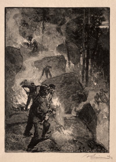 Paproć Palniki autorstwa Unknown artist