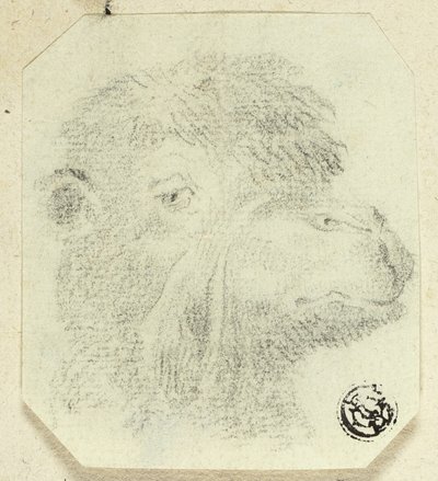 Głowa wielbłąda skierowana w prawo autorstwa Unknown artist
