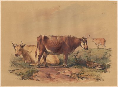 Bydło autorstwa Unknown artist