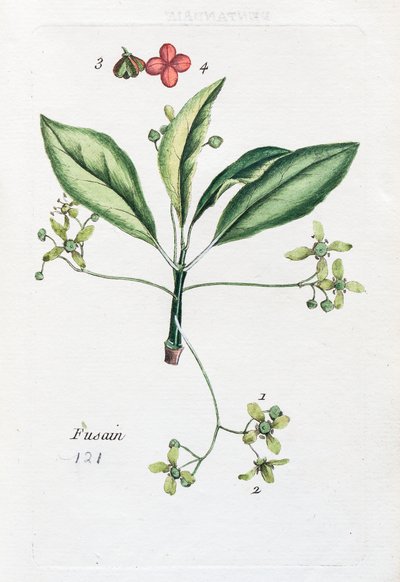 Węgiel drzewny autorstwa Unknown artist