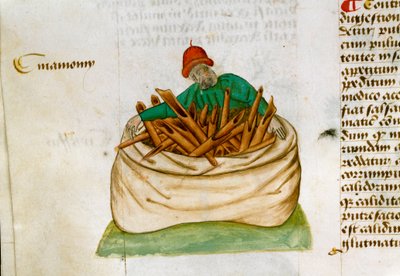 Sprzedawca cynamonu Opis roślin leczniczych i sposób ich przygotowania. Strona rękopisu „” Przysmaki o ziołach”” (Tractatus de herbis) Pedaniusa Dioscoridesa (Dioscorides) (40-90 ne) Lat.1152 autorstwa Unknown artist