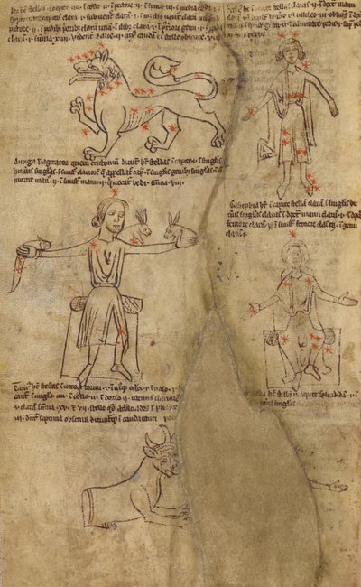 Diagramy konstelacji autorstwa Unknown artist