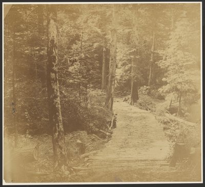 [Corduroy Road w drodze do Harper