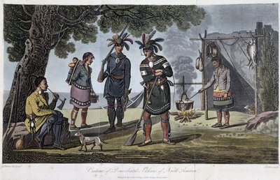 Kostiumy zadomowionych Indian Ameryki Północnej autorstwa Heriota, George