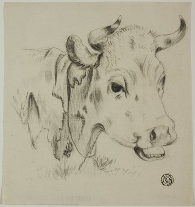 Głowa krowy autorstwa Unknown artist