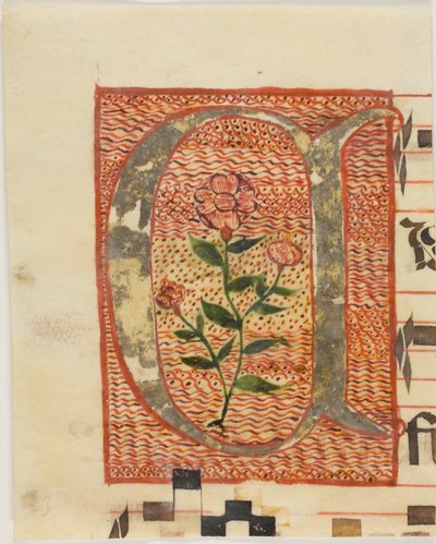 Zdobiony inicjał "A" z kwiatem z rękopisu autorstwa Unknown artist