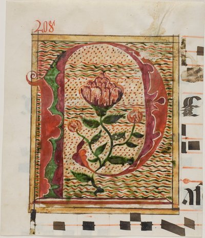 Zdobiony inicjał "P" z kwiatami z rękopisu autorstwa Unknown artist