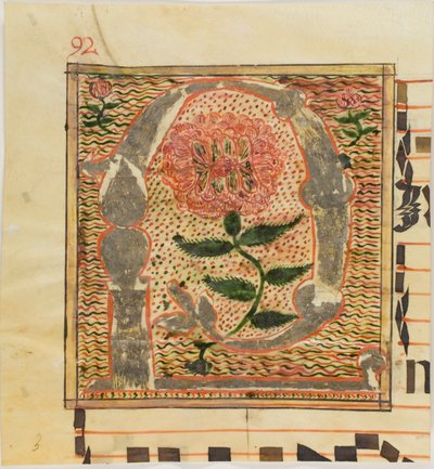 Zdobiony inicjał "P" z różami z rękopisu autorstwa Unknown artist