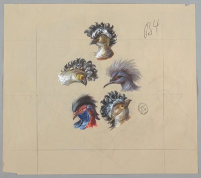 Projektowanie tapet i tekstyliów: ptaki autorstwa Unknown artist