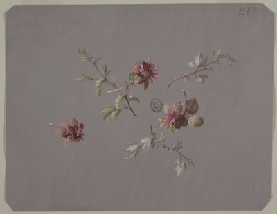 Projektowanie tapet i tekstyliów: kwiaty autorstwa Unknown artist