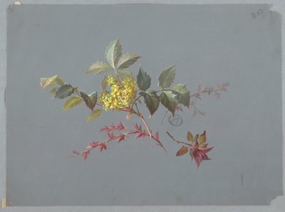 Projektowanie tapet i tekstyliów: kwiaty autorstwa Unknown artist