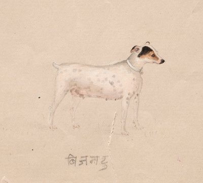 Pies autorstwa Unknown artist