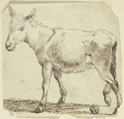 Osioł autorstwa Unknown artist