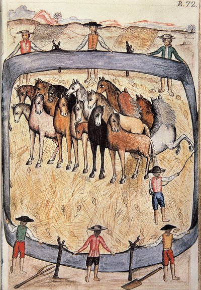 Ujeżdżenie dzikich koni, z książki „Trujillo del Peru” lub „Kodeks Martinez Companion”, autorstwa Baltazara Martineza Companion i Bujandy, biskupa Trujillo (1782-1785) autorstwa Unknown artist