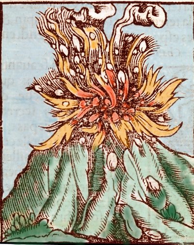 Erupcja wulkanu. Grawerowanie z XVI wieku. autorstwa Unknown artist