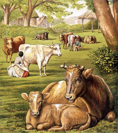 Rolnicy ciągnący mleko. 19 wiek. autorstwa Unknown artist