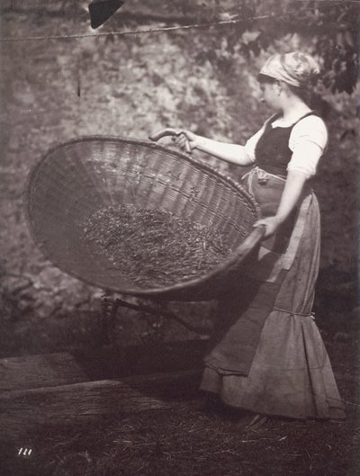 [Chłopka z koszem do żęcia] autorstwa Unknown artist
