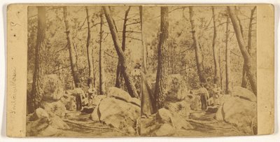 [Fontainebleau] autorstwa Unknown artist