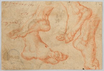 Cztery studia stopy autorstwa Unknown artist