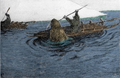 Fridtjof Nansen (1861-1930), norweski odkrywca, zaatakowany przez morsa podczas wyprawy na Biegun Północny w 1896 roku. Na kajaku niesie Schlitte. Rycina XIX wieku. autorstwa Unknown artist