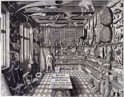 Frontyspicjum „Musei Wormiani Historia” ukazujące wnętrze gabinetu osobliwości Ole Worma lub Olausa Wormiusa autorstwa Unknown artist