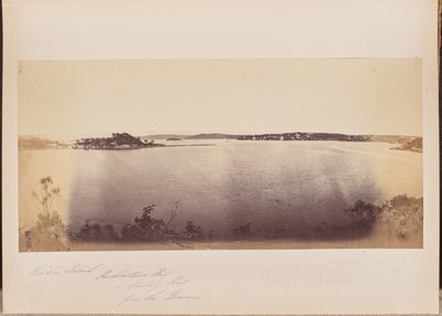Garden Island, Rushcutters Bay i Darling Point z Domain autorstwa Unknown artist