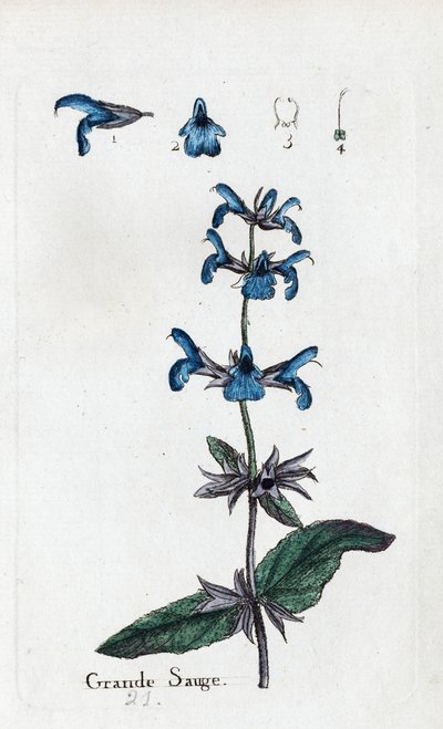 Wielki Mędrzec autorstwa Unknown artist