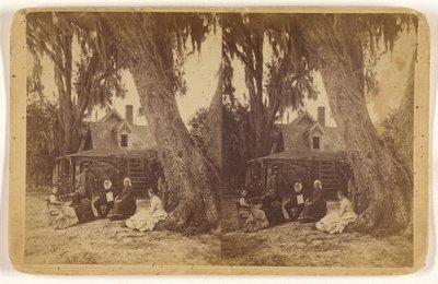 [Dom H(arriet) B(eecher) Stowe na Florydzie]. autorstwa Unknown artist