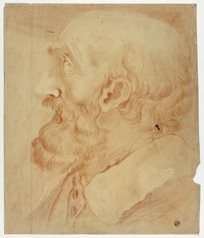 Głowa brodatego mężczyzny z profilu autorstwa Unknown artist