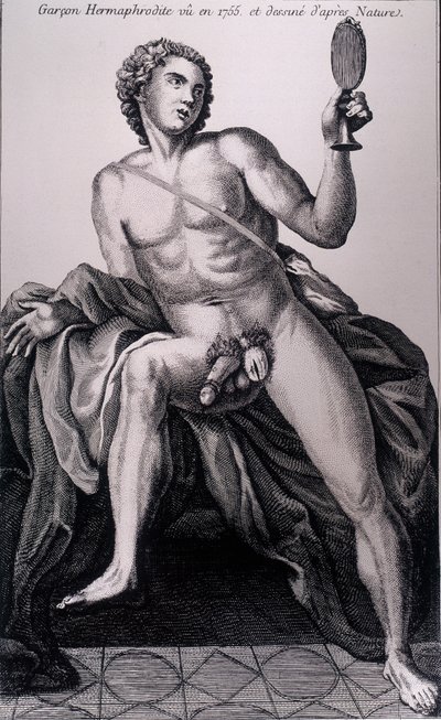 Chłopiec-hermafrodyta widziany w 1755 roku i zaczerpnięty z natury. autorstwa Unknown artist