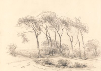 Wysokie drzewa autorstwa Unknown artist