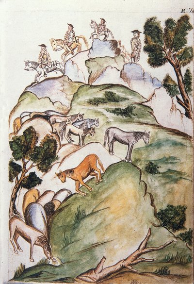 Książka „Trujillo del Peru” lub „Codex Martinez Companion”, autorstwa Baltazara Martineza Companion i Bujandy, biskupa Trujillo (1782-1785) autorstwa Unknown artist