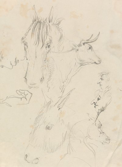 Cavalos, Vacas e Menpolish autorstwa Unknown artist