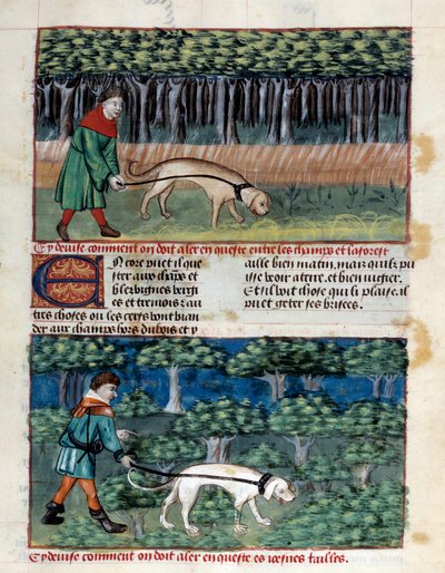 Jak prowadzić psy Miniatura zaczerpnięta z „Księgi łowów”” Gastona III Phoebusa, hrabiego Foix, Lorda Bearn (1331-1391) autorstwa Unknown artist