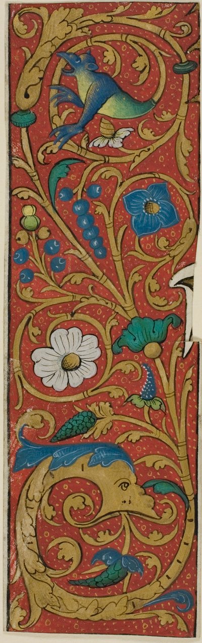 Iluminowana ramka z groteskami i florą z rękopisu autorstwa Unknown artist