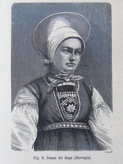 Ilustracja z „Rasy ludzkiej” Louisa Figuier autorstwa Unknown artist