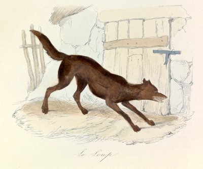 Ilustracja z książki "Complete Works of Buffon": Les animaux: Le loup (rycina) autorstwa Unknown artist