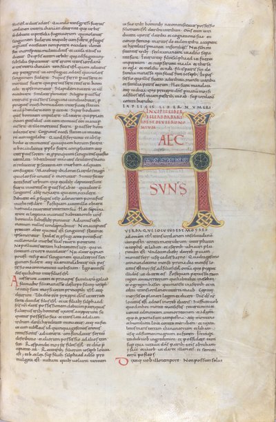 Incipit Księgi Powtórzonego Prawa, Capulettera z napisem Haec sun, XI wiek (miniatura, rękopis błoniasty) autorstwa Unknown artist