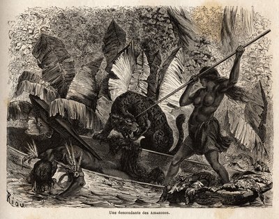 Indian ticuna (Peru) atakujący włócznią tygrysa, który właśnie wskoczył do swojego czółna i zranił swojego towarzysza, ticuna z rzeki Nhamondas są znane ze swoich wojowniczych żon, więc pierwsi podróżnicy i uczeni, którzy je obserwowali, nazywali je Amazon autorstwa Unknown artist