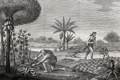 Indigenes uprawiający ziemię w dorzeczu Orenoque w Kolumbii. Grawerowanie 1780 autorstwa Unknown artist