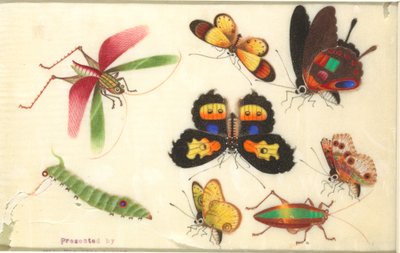 Owady autorstwa Unknown artist