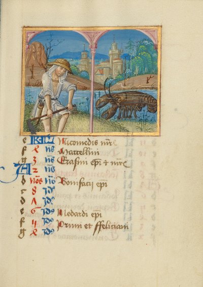 Strona kalendarza na czerwiec; Koszenie; Rak autorstwa Unknown artist
