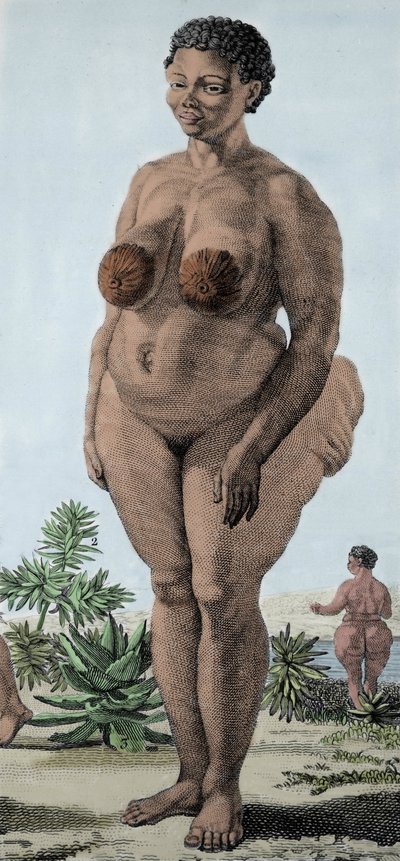 La Venus Hottentote, kobieta rasy Bochiman; (The Hottentot Venus), grawerowanie z 1815 roku. autorstwa Unknown artist
