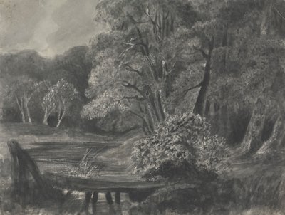 Paisagem com Pondpolish autorstwa Unknown artist