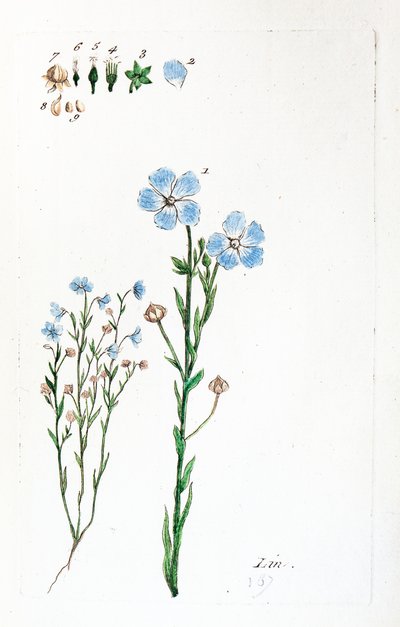 Pościel autorstwa Unknown artist