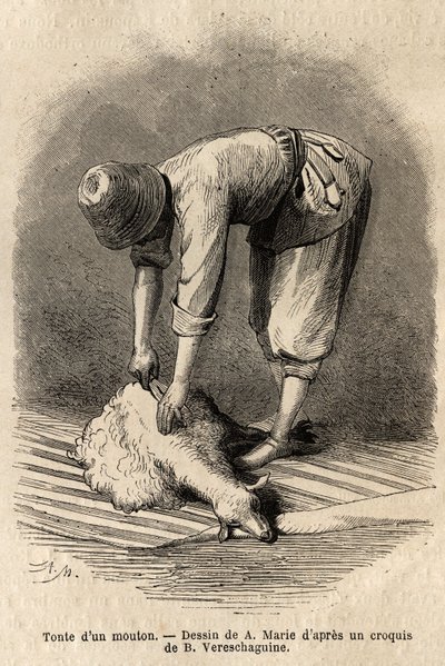 Koszenie owiec przez młodego Tatara w Schusha (Zakaukazie, Rosja). Rycina ilustrująca podróż po prowincjach Kaukazu, Basile Vereschaguine, w latach 1864-1865, opublikowana w „” le tour du monde””, pod kierunkiem D