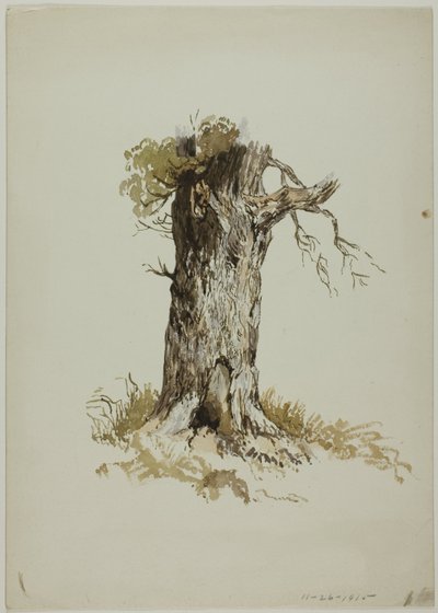 Pień starego drzewa (recto); Pień starego drzewa (verso) autorstwa Unknown artist